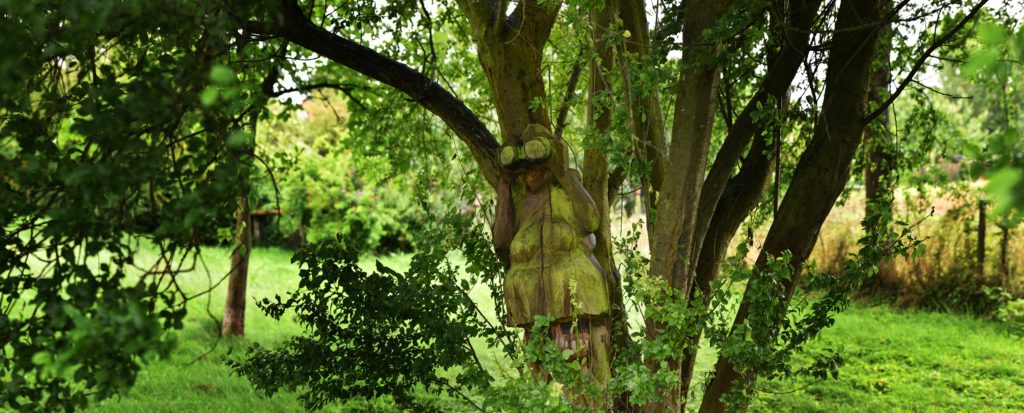 nau-p-o_15-07-28_267_stitch